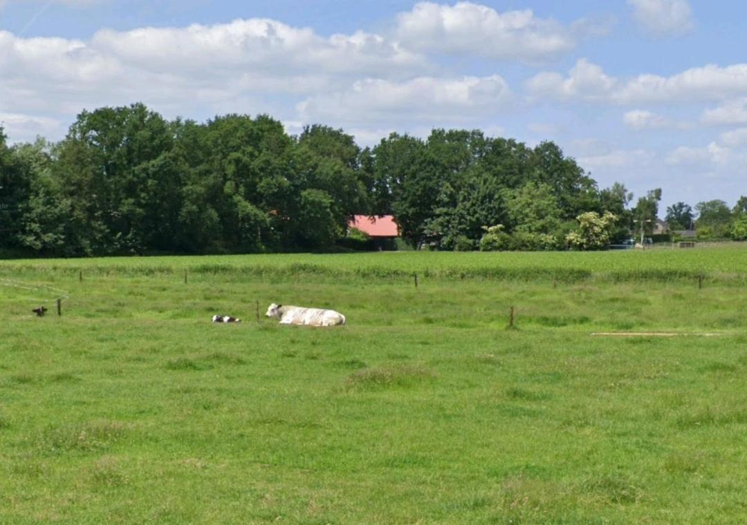 Bed & Breakfast Boekel Exteriör bild