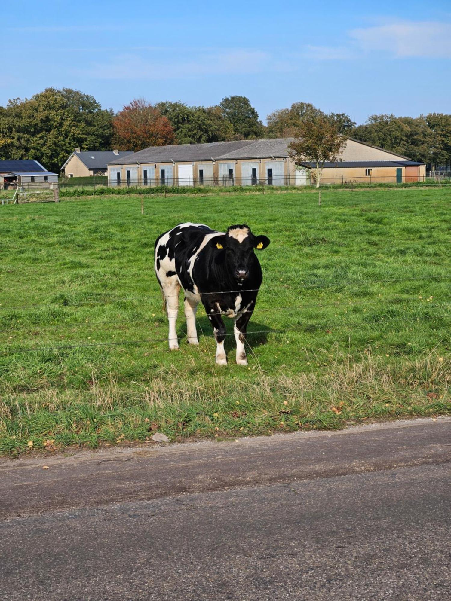 Bed & Breakfast Boekel Exteriör bild