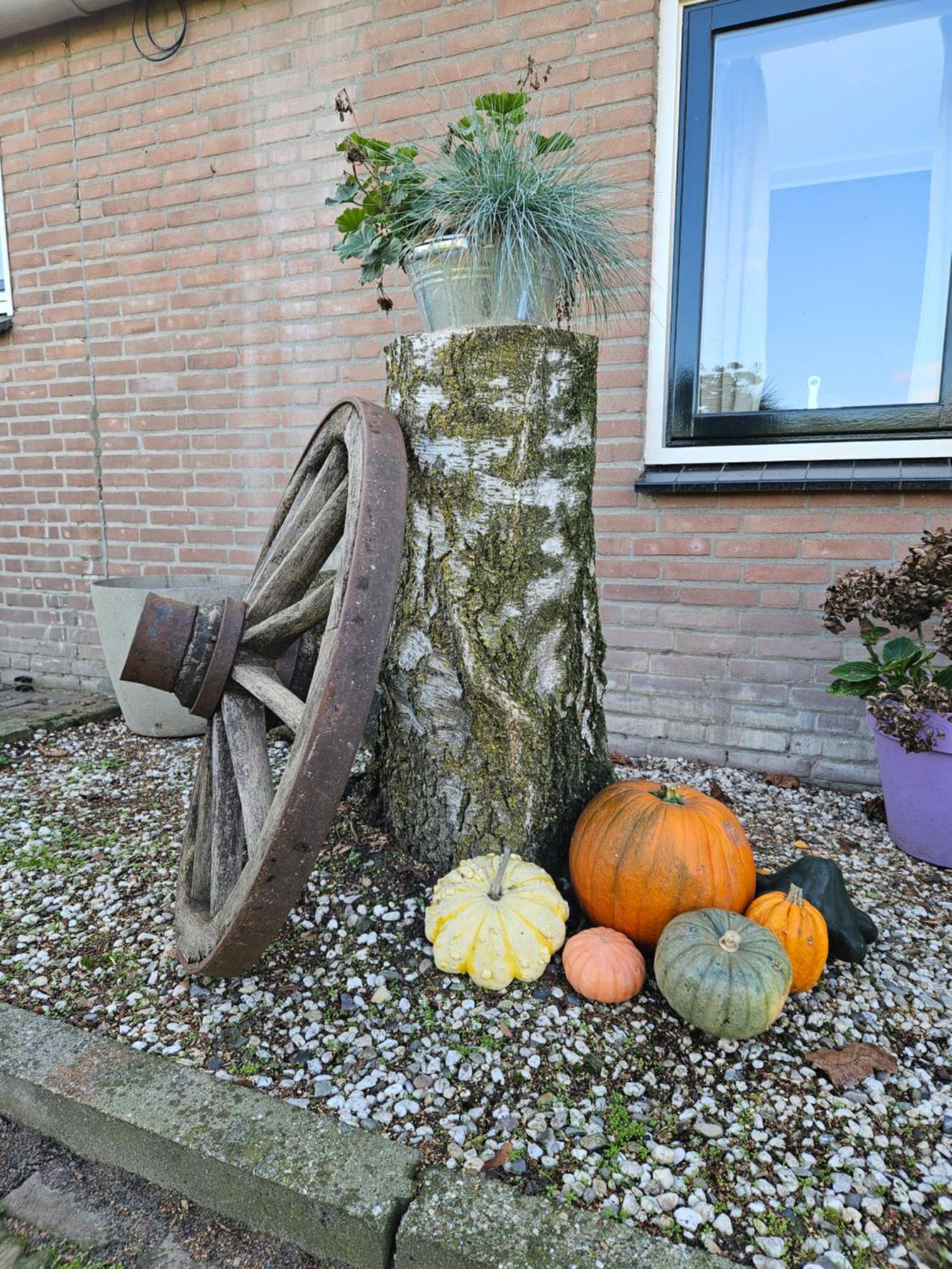 Bed & Breakfast Boekel Exteriör bild